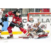 Red Deer Rebels left wing Dallon Melin vs. the Calgary Hitmen