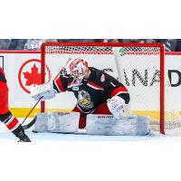 Grand Rapids Griffins goaltender Victor Brattstrom