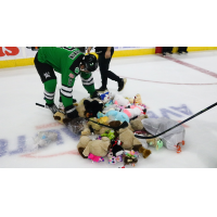 Binghamton Black Bears Teddy Bear Toss