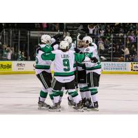 Texas Stars celebrate a goal against the Rockford IceHogs