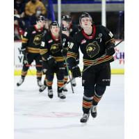 Vancouver Giants line up to celebrate a goal against the Prince George Cougars