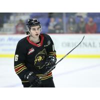 Vancouver Giants centre Cole Shepard against the Prince George Cougars