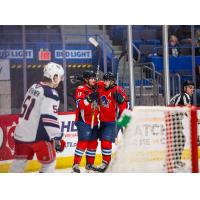 Springfield Thunderbirds celebrate a goal against the Hartford Wolf Pack