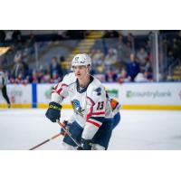 Springfield Thunderbirds left wing Alexei Toropchenko