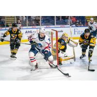 Springfield Thunderbirds forward Matthew Peca