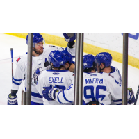 Wichita Thunder celebrate a goal