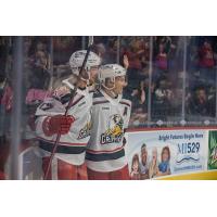 Grand Rapids Friffins react after a goal