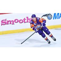 Steenn Pasichnuk with the Orlando Solar Bears