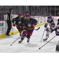 Chad Costello of the Allen Americans