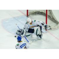 Roanoke Rail Yard Dawgs goaltender Austyn Roudebush makes a pad save