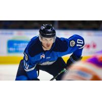 Jacksonville Icemen forward Christopher Brown