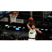 Javin DeLaurier with the Niagara River Lions