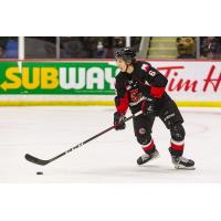 Prince George Cougars defenceman Viliam Kmec