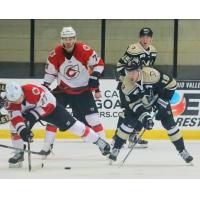 Wheeling Nailers forward Felix Pare (right) vs the Cincinnati Cyclones