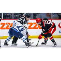 Grand Rapids Griffins center Josh Dickinson (right)