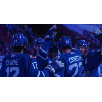Wichita Thunder celebrate a goal