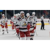 Grand Rapids Griffins defenseman Luke Witkowski