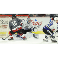 Victoria Royals goaltender Campbell Arnold vs. the Vancouver Giants