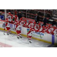 Allen Americans along the bench