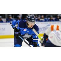 Jacksonville Icemen forward Ara Nazarian