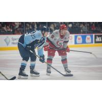 Grand Rapids Griffins left wing Turner Elson (right) vs. the Milwaukee Admirals