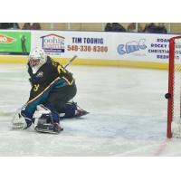 Roanoke Rail Yard Dawgs goaltender Brody Claeys