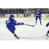 Roanoke Rail Yard Dawgs forward Nick Devito