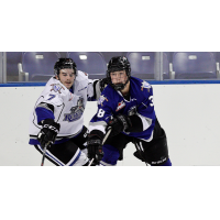 Victoria Royals forward Alex Edwards (right)