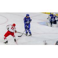 Allen Americans right wing Branden Troock shoots against the Wichita Thunder