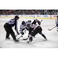 Zach Court of the Rapid City Rush (right) faces off with the Utah Grizzlies