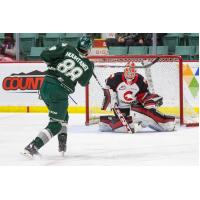 Prince George Cougars goaltender Tyler Brennan makes a stop against the Everett Silvertips