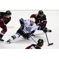 Vancouver Giants defence smothers the Victoria Royals