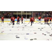 South Carolina Stingrays Undie Sunday