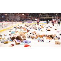 South Carolina Stingrays Teddy Bear Toss