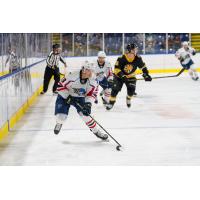 Springfield Thunderbirds forward Peter Crinella