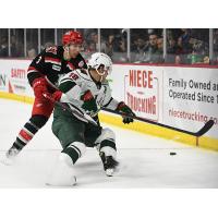 Grand Rapids Griffins battle the Iowa Wild