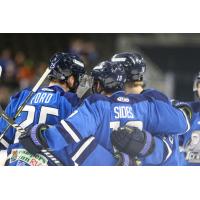 Jacksonville Icemen gather following a goal
