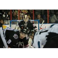 Rapid City Rush goaltender David Tendeck
