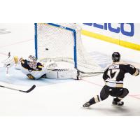 Brandon Saigeon of the Wheeling Nailers scores against the Norfolk Admirals