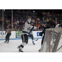 Muskegon Lumberjacks celebrate a goal