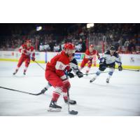 Branden Troock of the Allen Americans vs. the Idaho Steelheads