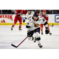 Utah Grizzlies defenseman Charle-Edouard D'Astou
