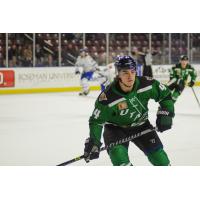 Utah Grizzlies defenseman Luke Martin