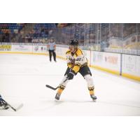 Forward Alex Renaud with the Fayetteville Marksmen
