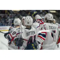 Springfield Thunderbirds celebrate a goal against the Rochester Americans