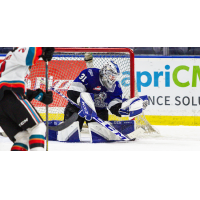 Victoria Royals goaltender Tyler Palmer