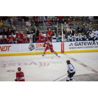 Rapid City Rush defenseman Christian Evers with the puck against the Utah Grizzlies