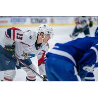 Springfield Thunderbirds forward Alexei Toropchenko