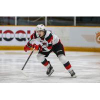 Brenden Sirizzotti with the Ottawa 67's