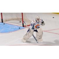 Former Orlando Solar Bears goaltender Nick Niedert